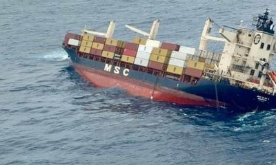 MSC ELSA 3