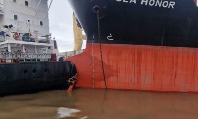 SEA HONOR / BLACK RHINO